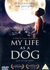 My Life as a Dog (1985)3.jpg